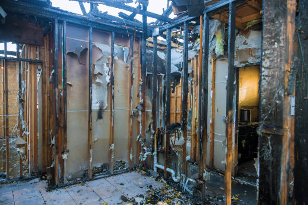 Professional Fire Damage Removal technician working in Woodville, WI