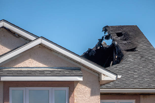 Top rated local Fire Damage Removal specialists in Woodville, WI